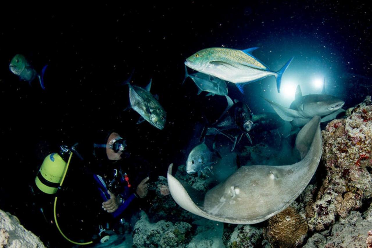 Hotel And Dive Center Roatan Yacht Club French Harbour エクステリア 写真