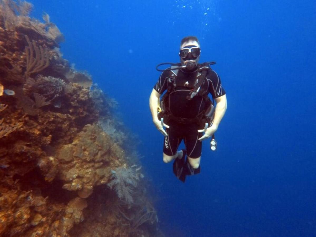 Hotel And Dive Center Roatan Yacht Club French Harbour エクステリア 写真