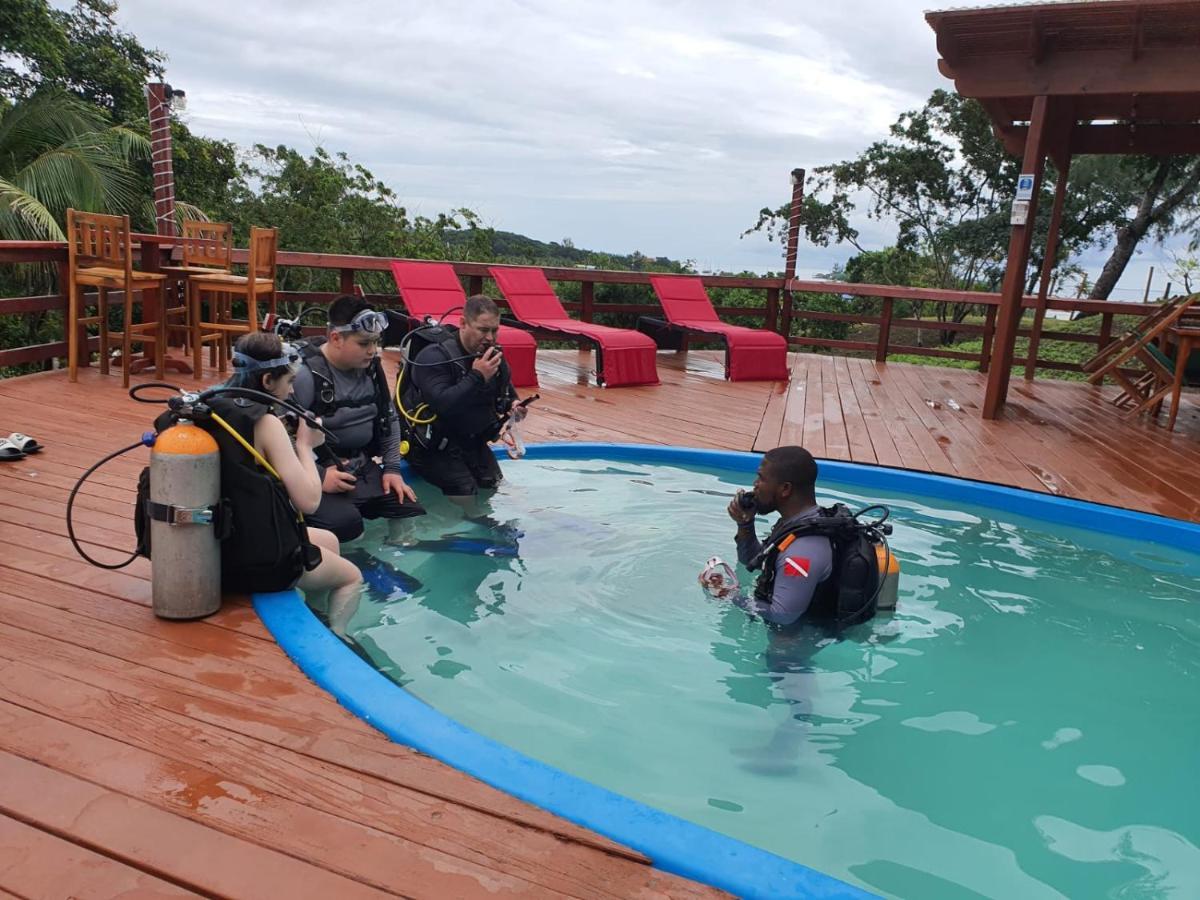 Hotel And Dive Center Roatan Yacht Club French Harbour エクステリア 写真