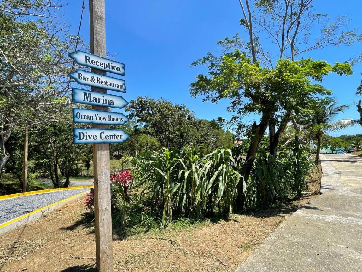 Hotel And Dive Center Roatan Yacht Club French Harbour エクステリア 写真